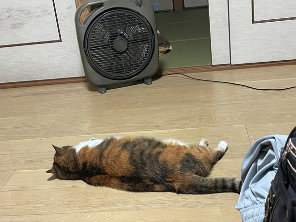 Customer photo of ZuClean Net (set of 2)